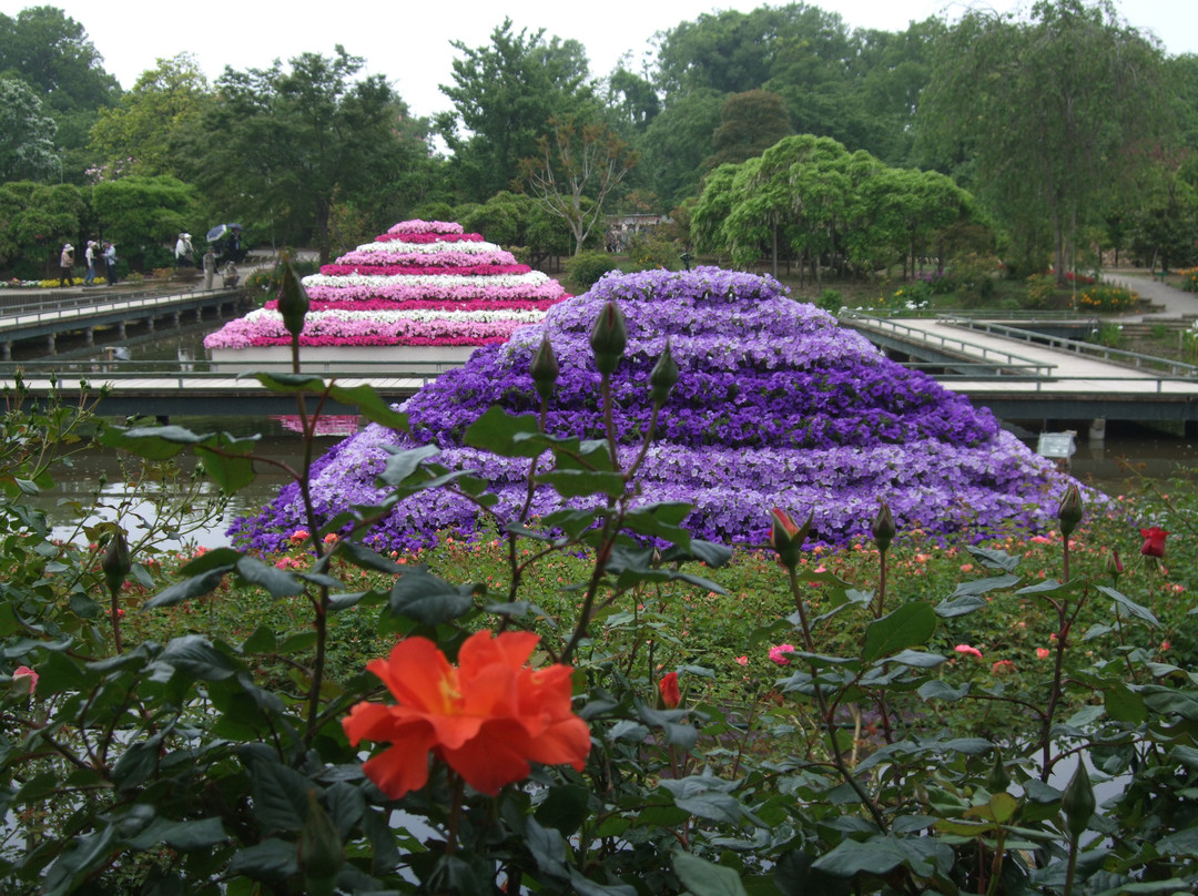 Ashikaga Flower Park-足利市必去景点