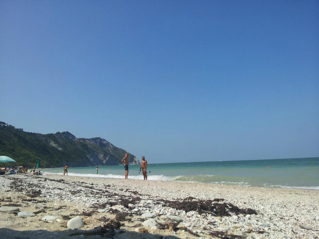 Agriturismo I Ciliegi del Checco主图