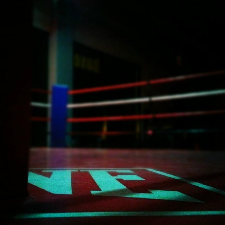 Palestra the Ring景点图片