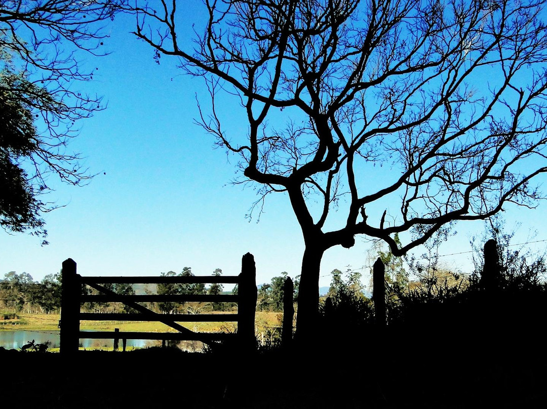 Sao Jose da Cruz das Caveiras-Santa Rita Do Sapucai必去景点