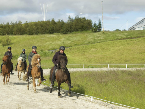 Reykjavik Riding Center-雷克雅未克必去景点