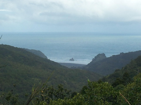 Auckland Wine Trail Tours-奥克兰中心地区必去景点