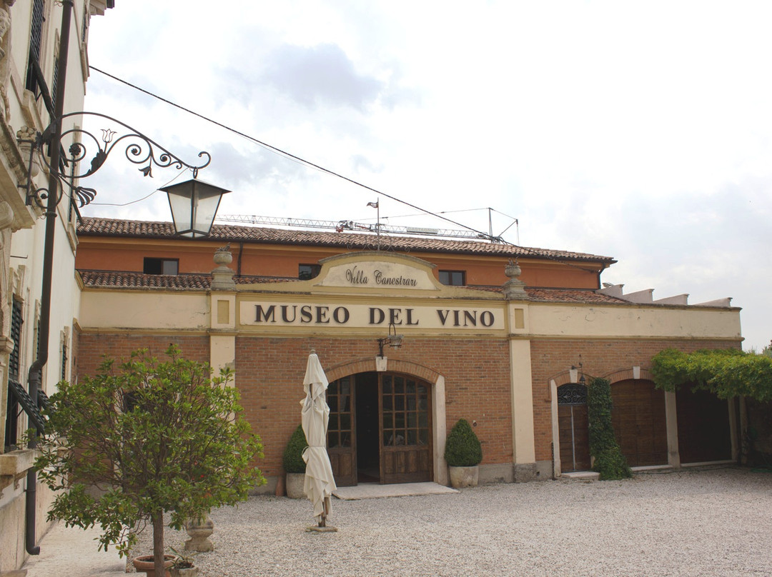 Museo del Vino景点图片