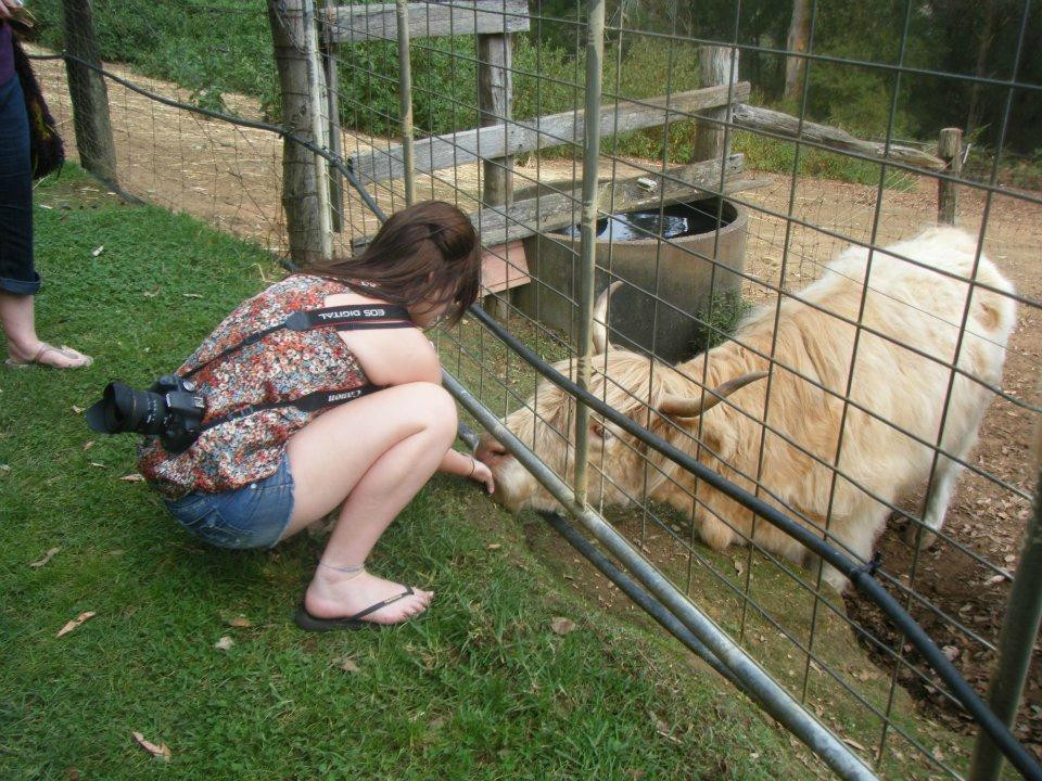 Denmark Animal Farm & Pentland Alpaca Stud景点图片
