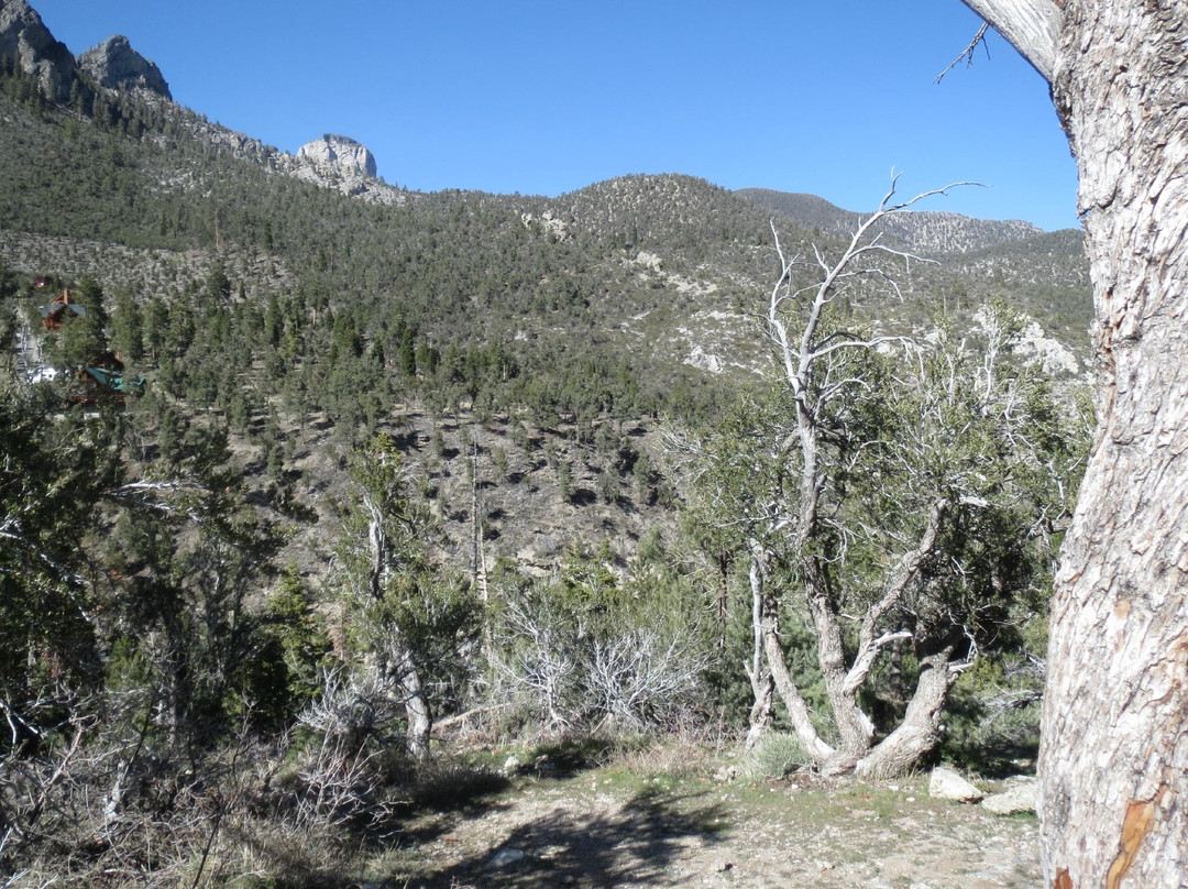 查尔斯顿山-拉斯维加斯必去景点