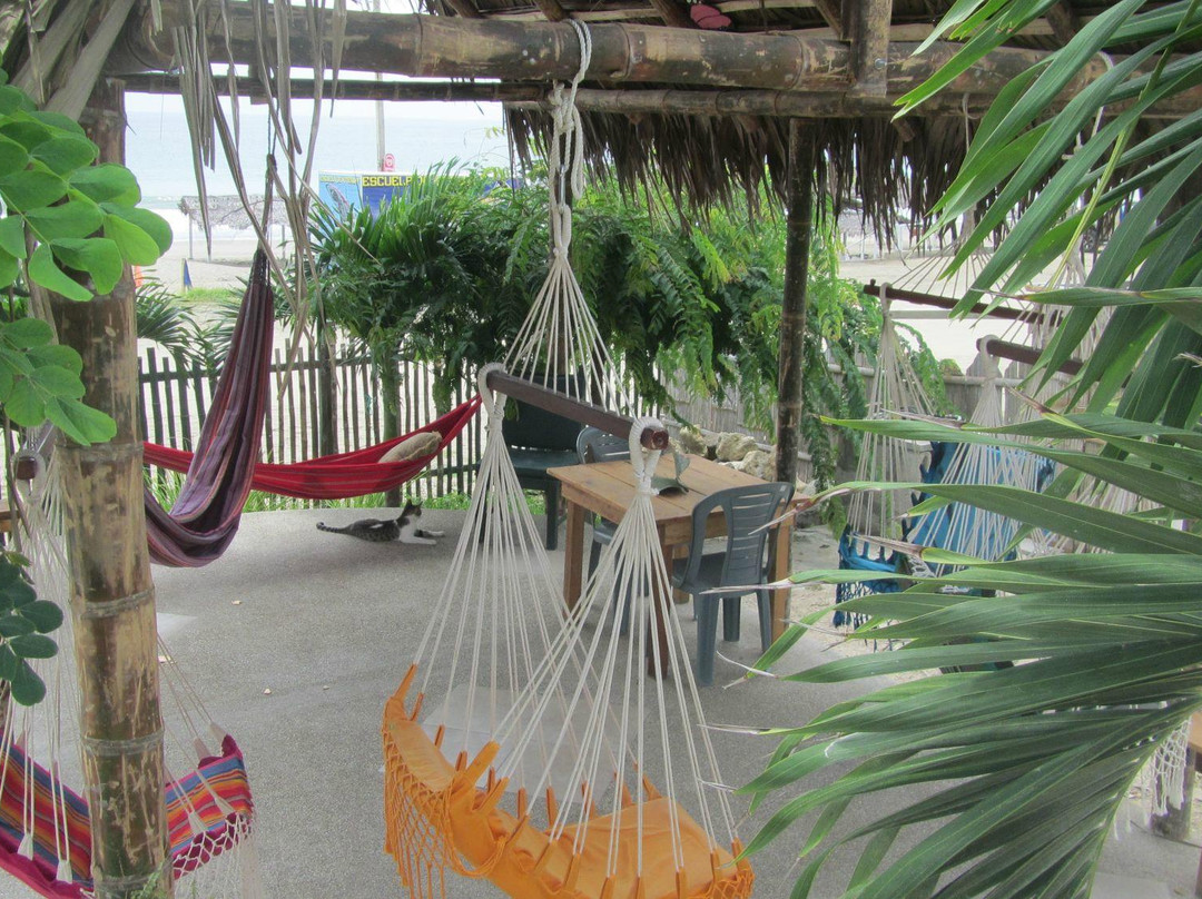 Donkey Den Guesthouse主图