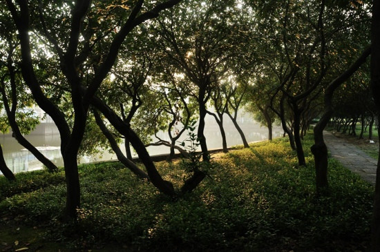 紫马岭公园-中山市必去景点