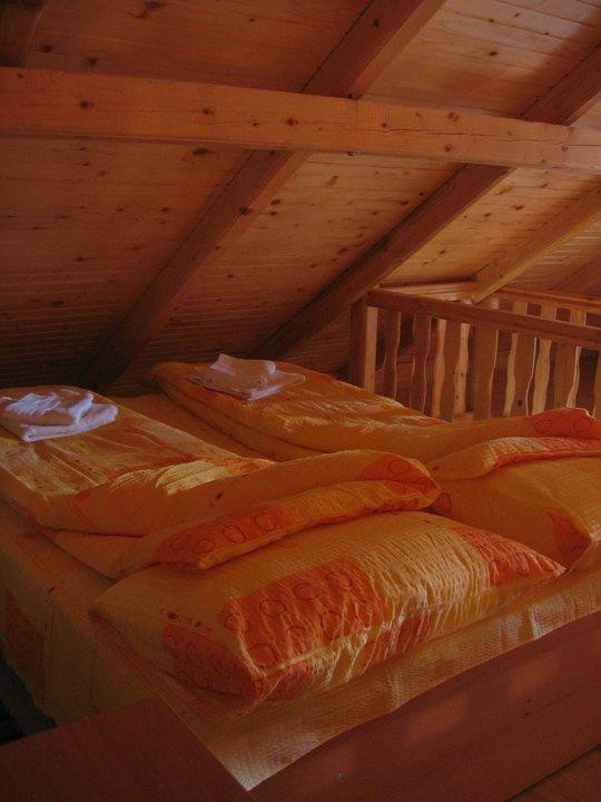 Zabljak酒店住宿-Boskovica Brvnare