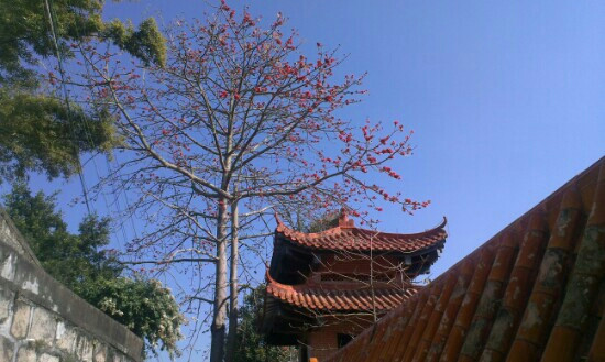 巨峰禅寺-汕头市必去景点