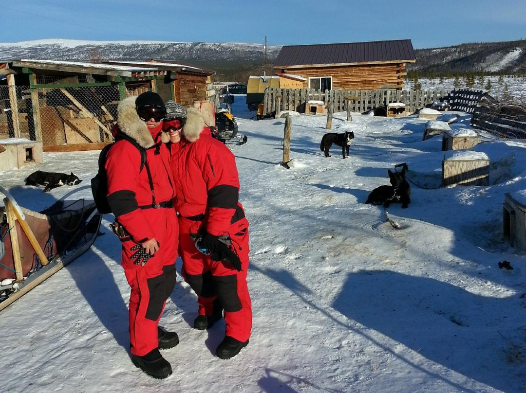 Dog Sledding Tours at EarthSong Lodge-希利必去景点