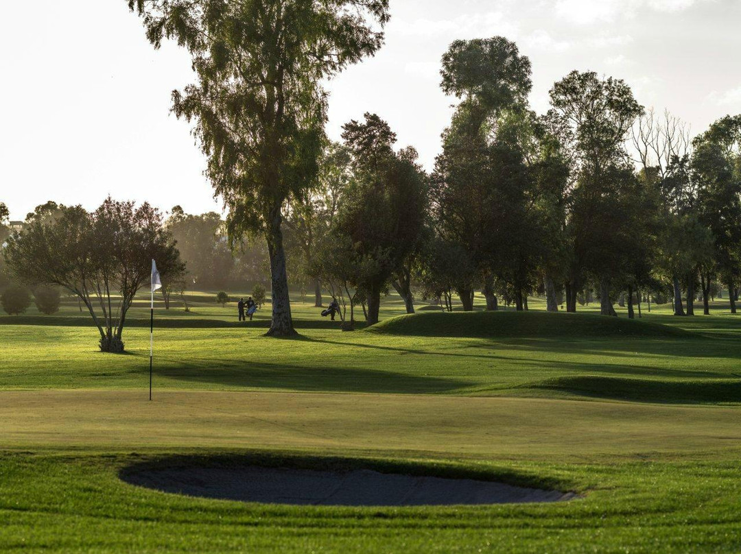 Royal Malta Golf Club景点图片