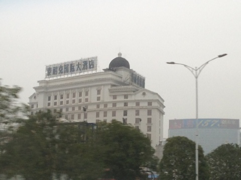 泰耐克国际大酒店-客卧