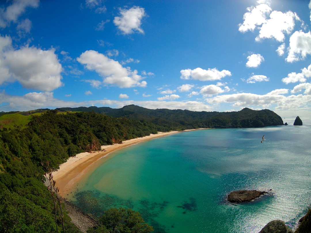 Whangapoua Beach景点图片