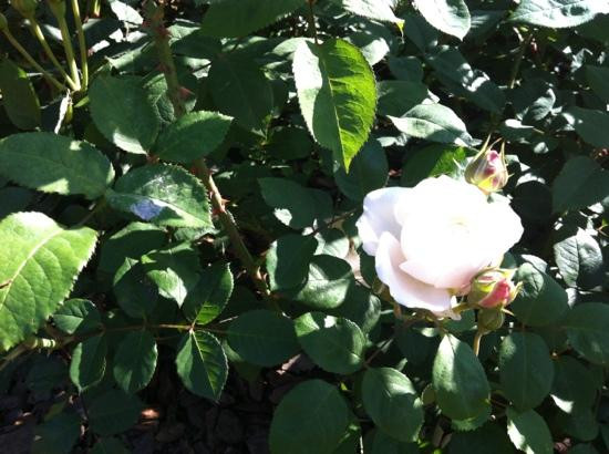 巴勒莫公园-布宜诺斯艾利斯必去景点