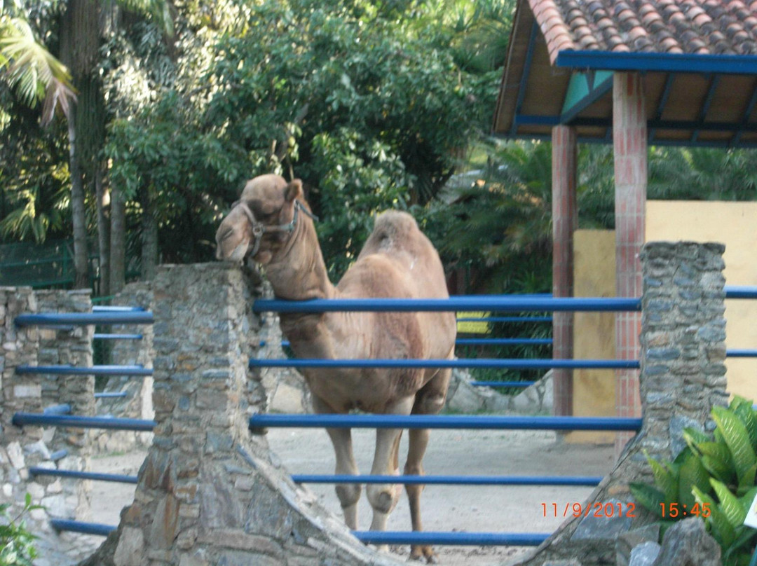 Expanzoo Expansion Centro Educativo Recreacional景点图片