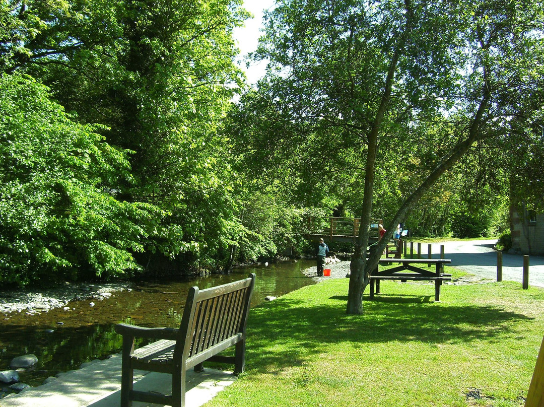 Puddle Duck Cottages