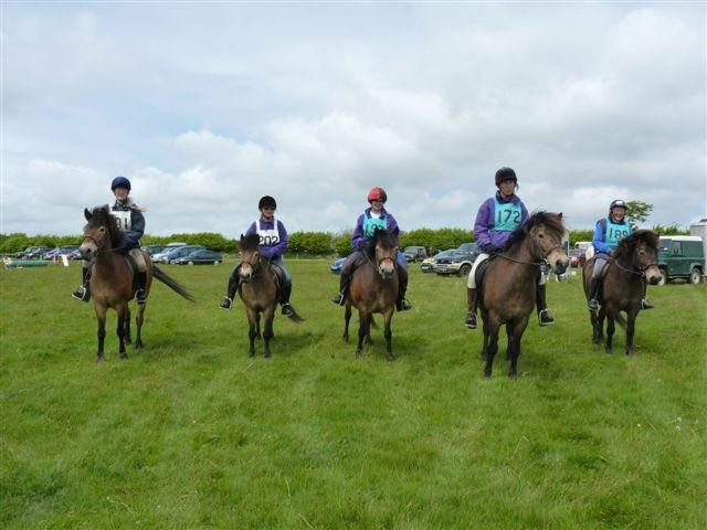 Exmoor Pony Centre景点图片
