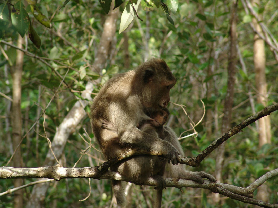 Vam Sat Salt-Marsh Forest Ecological Tourist Center-胡志明市必去景点