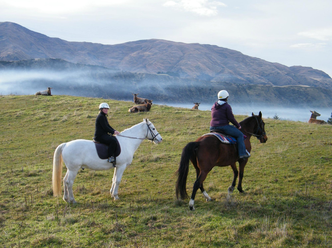 月光马厩-皇后镇必去景点