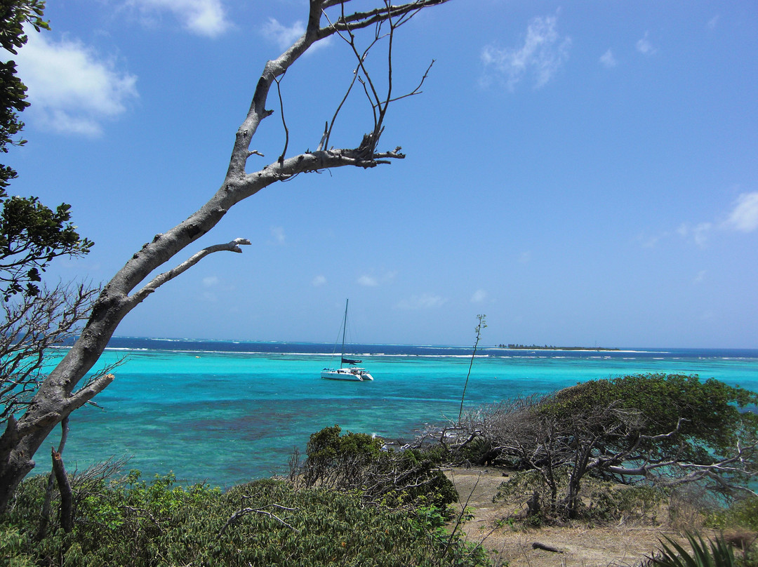 Sunsation Tours-St. George's必去景点