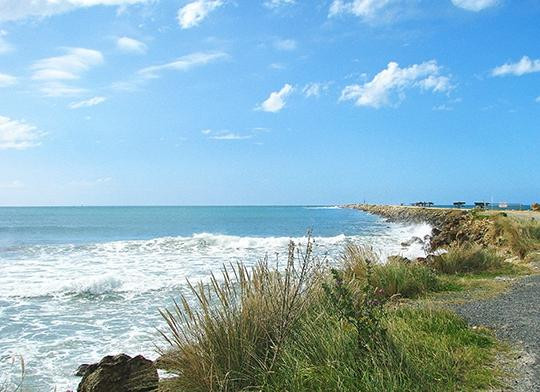 Aramoana Beach-但尼丁必去景点