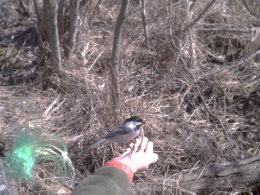 Mendon Ponds Park-Pittsford必去景点