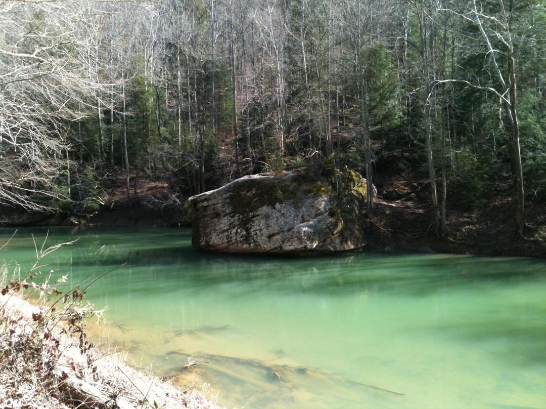 Daniel Boone National Forest-Winchester必去景点