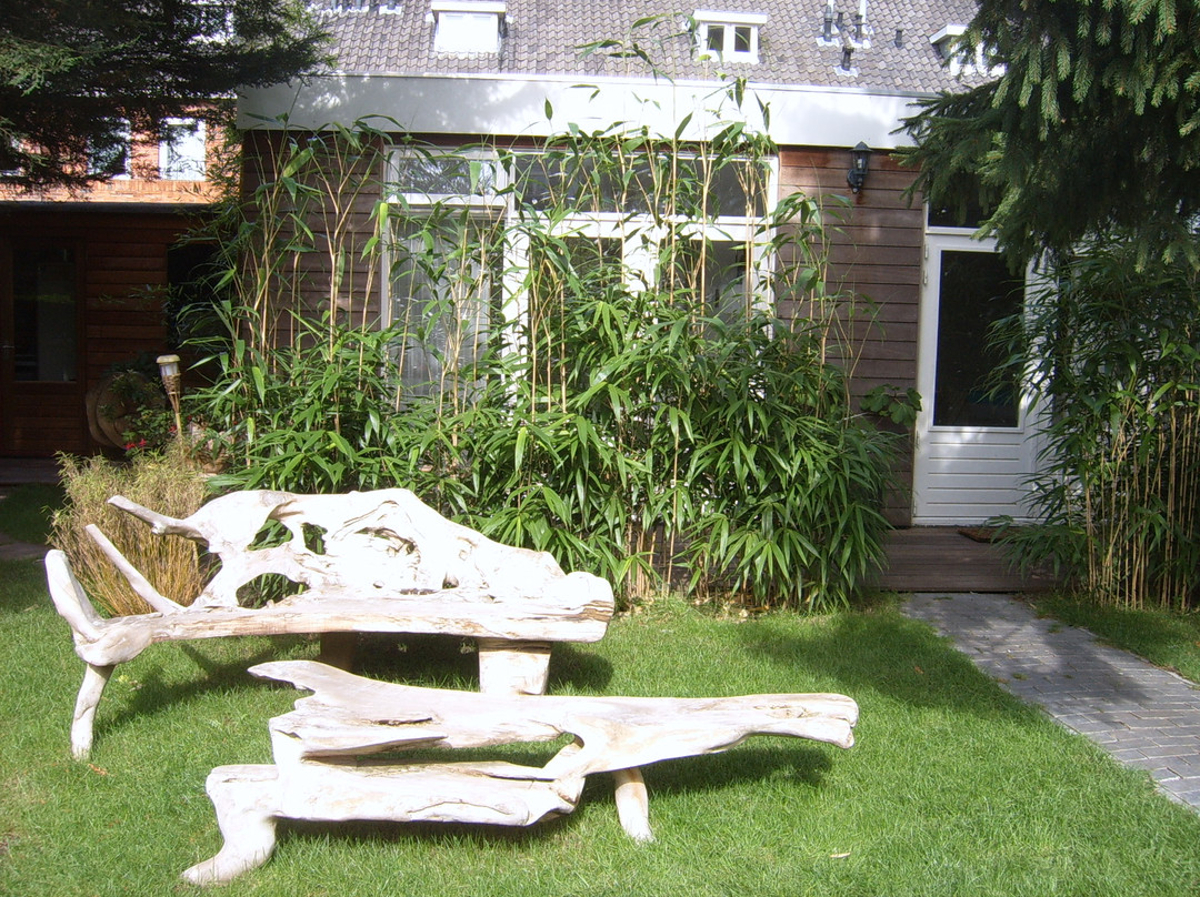 Achter het witte huis主图