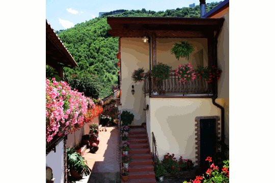 Pensione Gli Ulivi主图