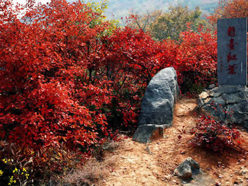 环翠峪风景名胜区-荥阳市必去景点
