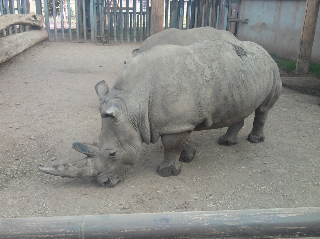 Blair Drummond Safari And Adventure Park-斯特灵必去景点