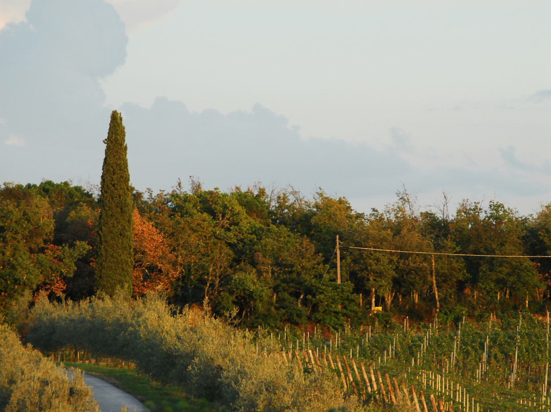 Agriturismo Le Macie主图