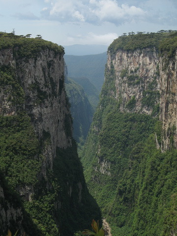 Cambará do Sul旅游攻略图片