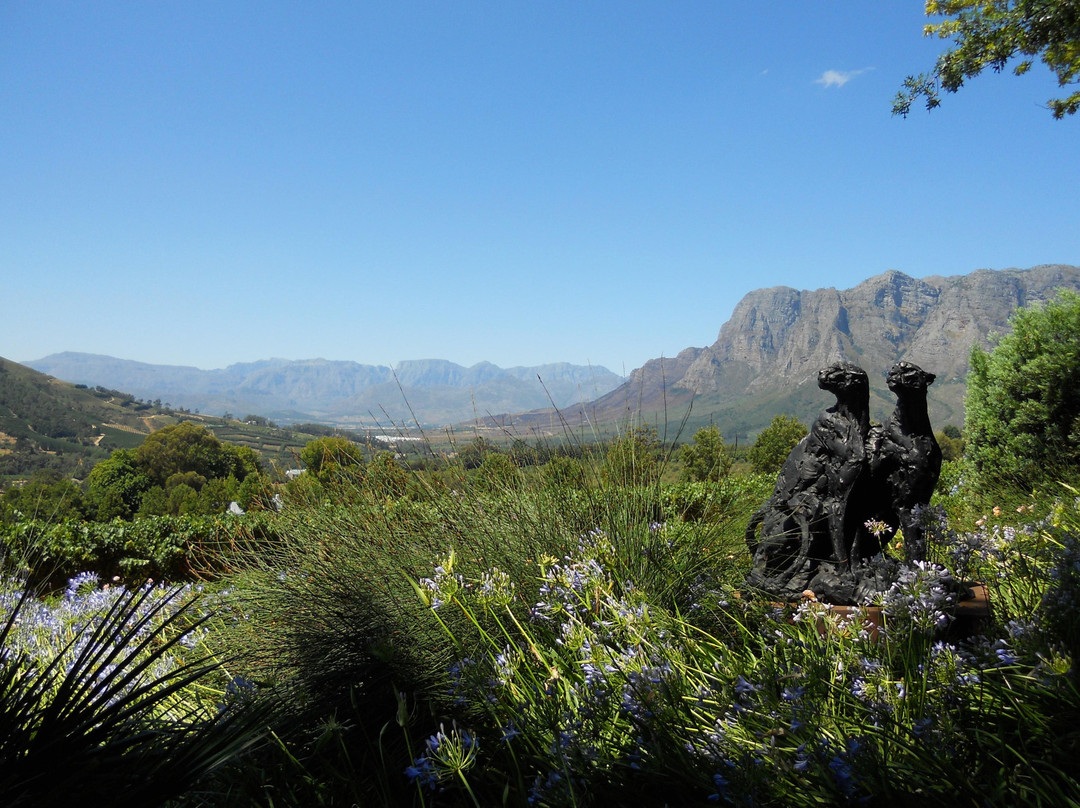 Delaire Graff Estate-斯泰伦博斯必去景点