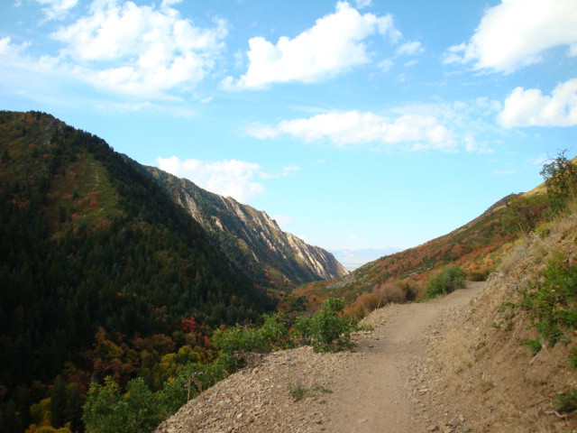 Mill Creek Canyon-盐湖城必去景点