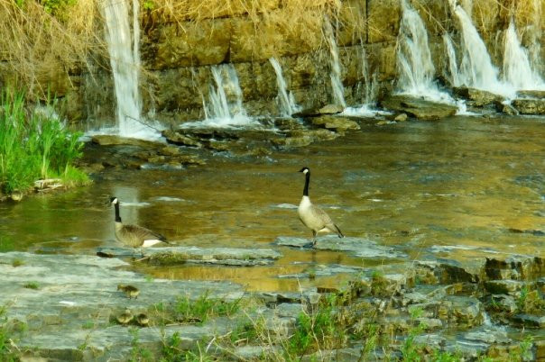 Genesee River's High Falls景点图片