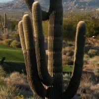 Troon North Golf Club-斯科茨代尔必去景点