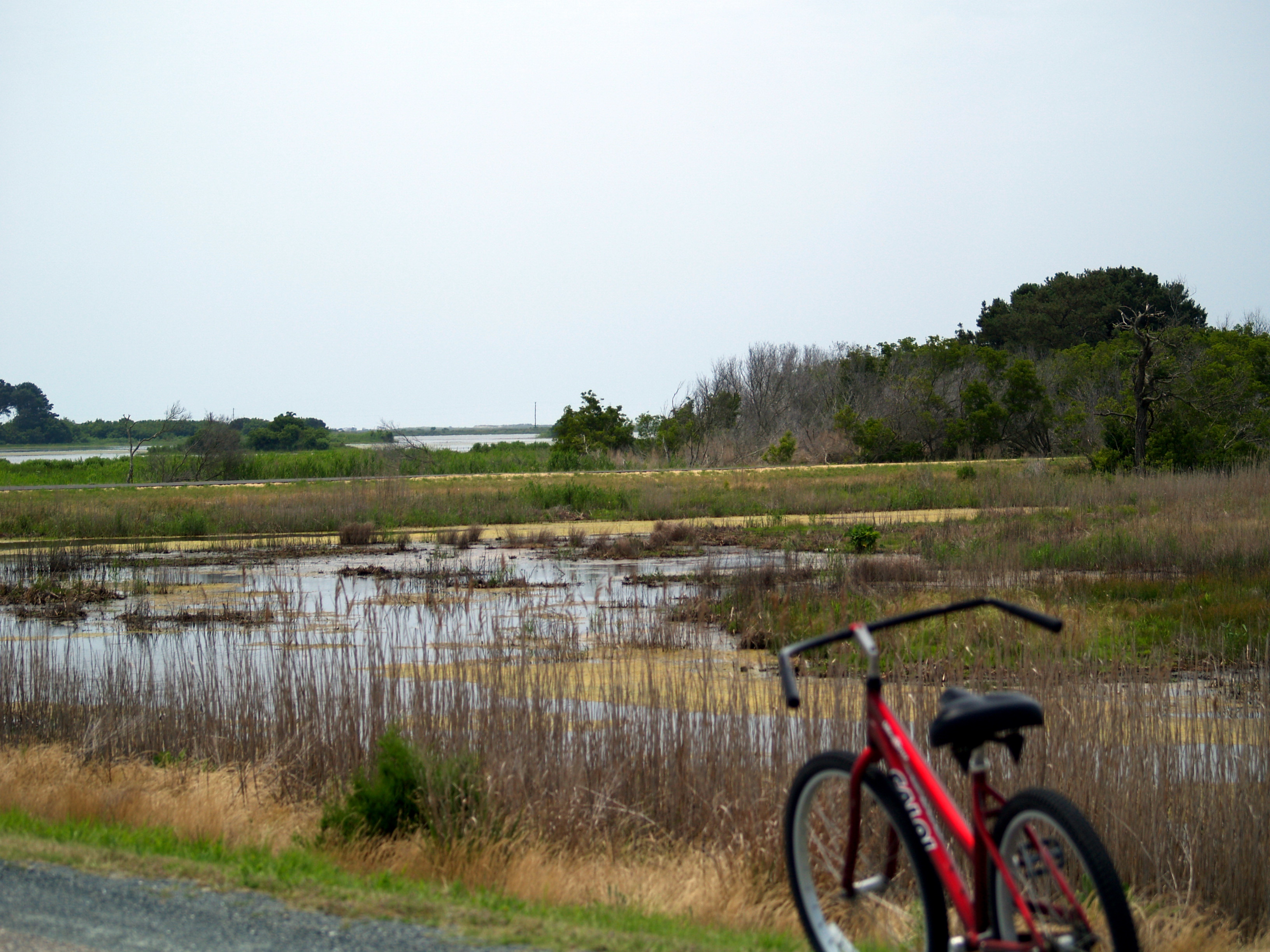 Inn at Poplar Corner-客卧