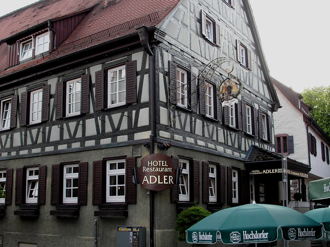 Hotel Adler主图