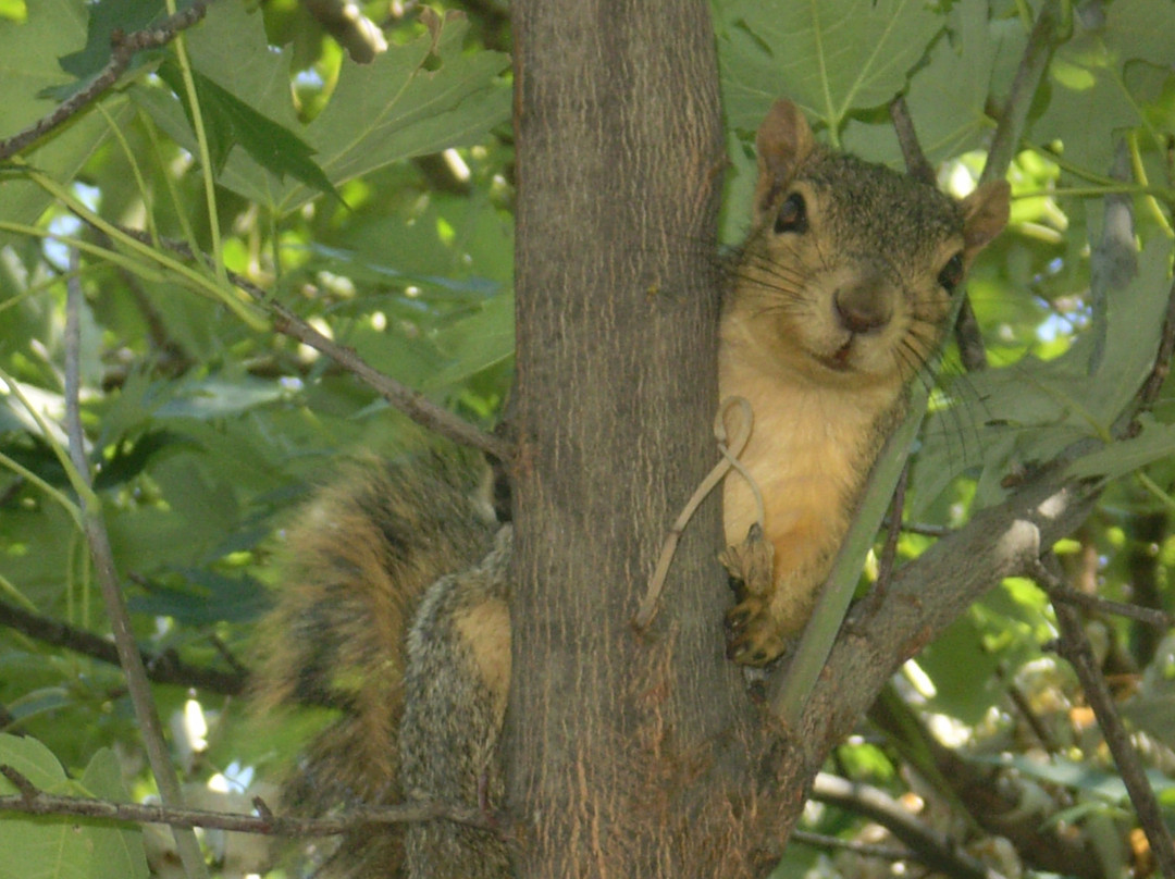 Morrison-Knudsen Nature Center-博伊西必去景点