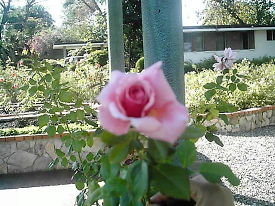 Jardin Botánico Nacional-圣多明哥必去景点