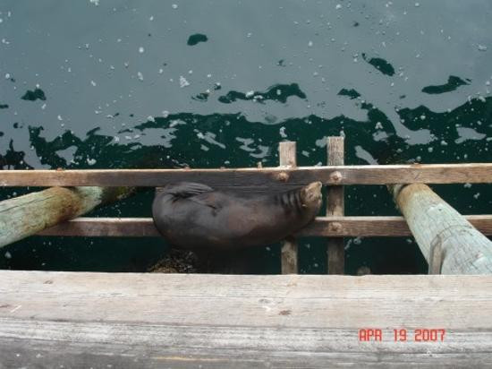 圣克鲁斯码头-圣克鲁斯必去景点