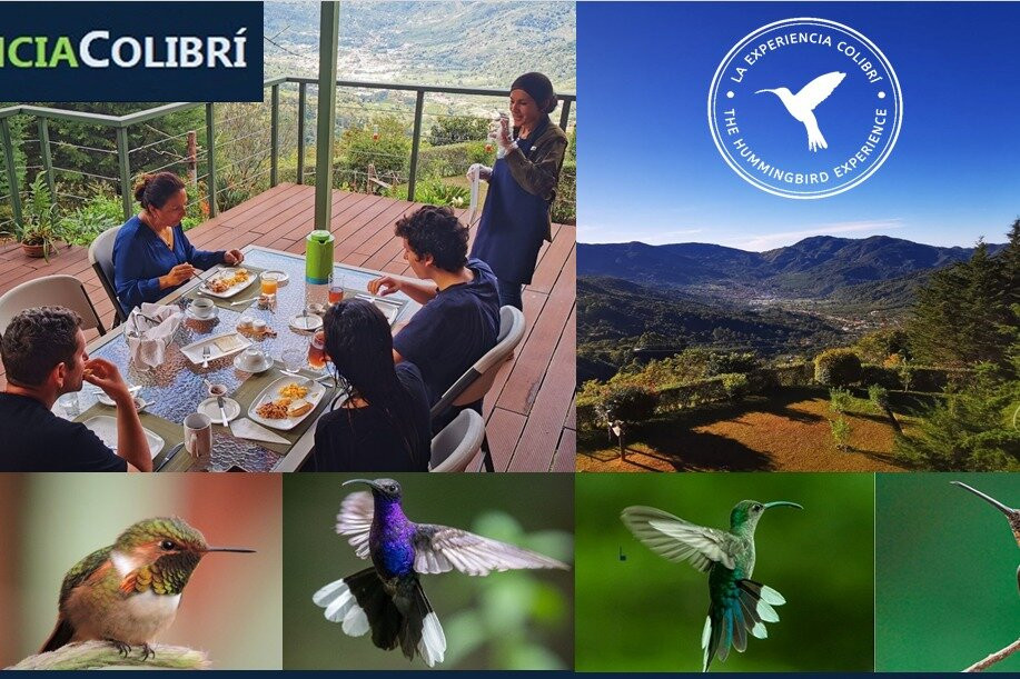 La Experiencia Colibrí / The Hummingbird Experience