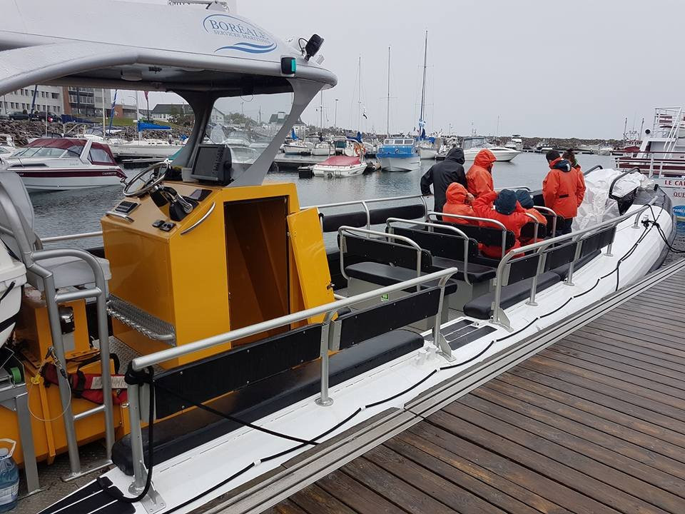 Services Maritimes Boreale-Havre St. Pierre必去景点