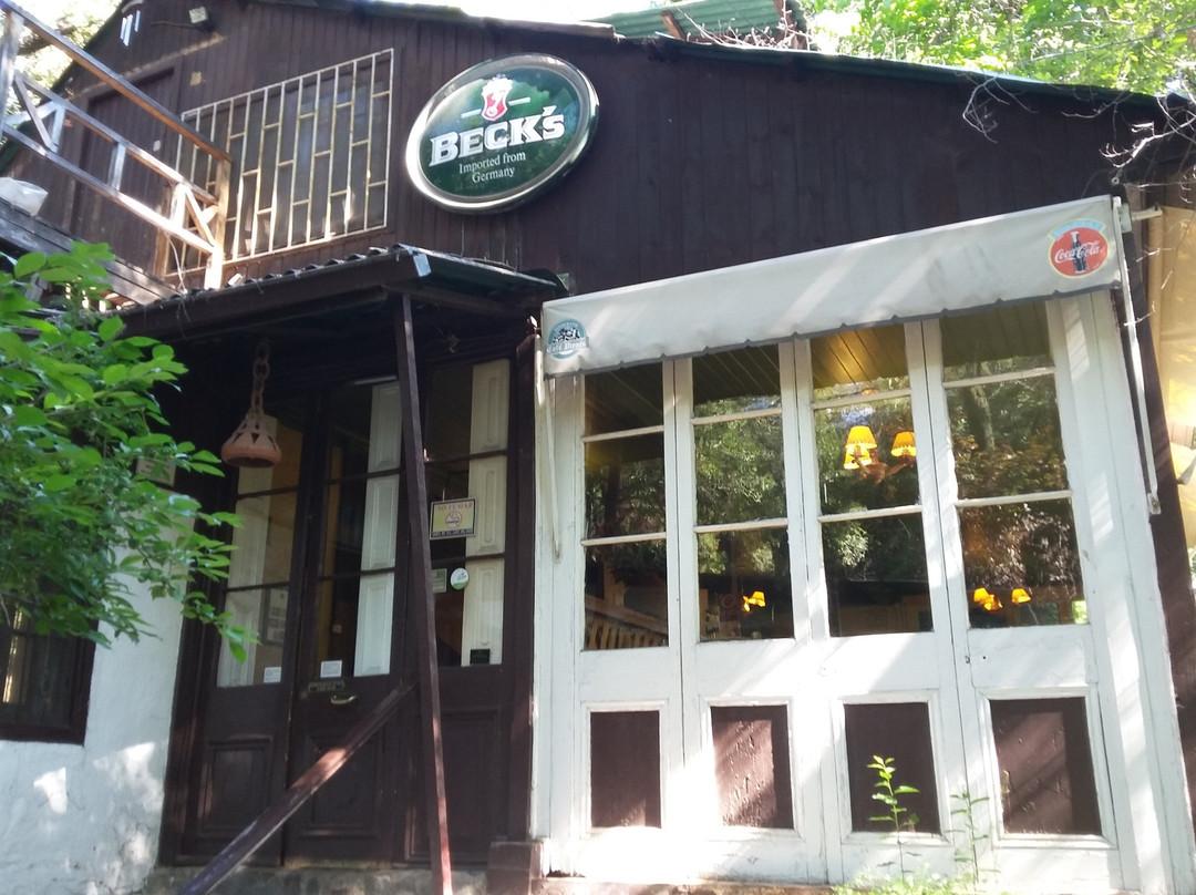 Guayacan餐馆和美食-Cafe Vienes