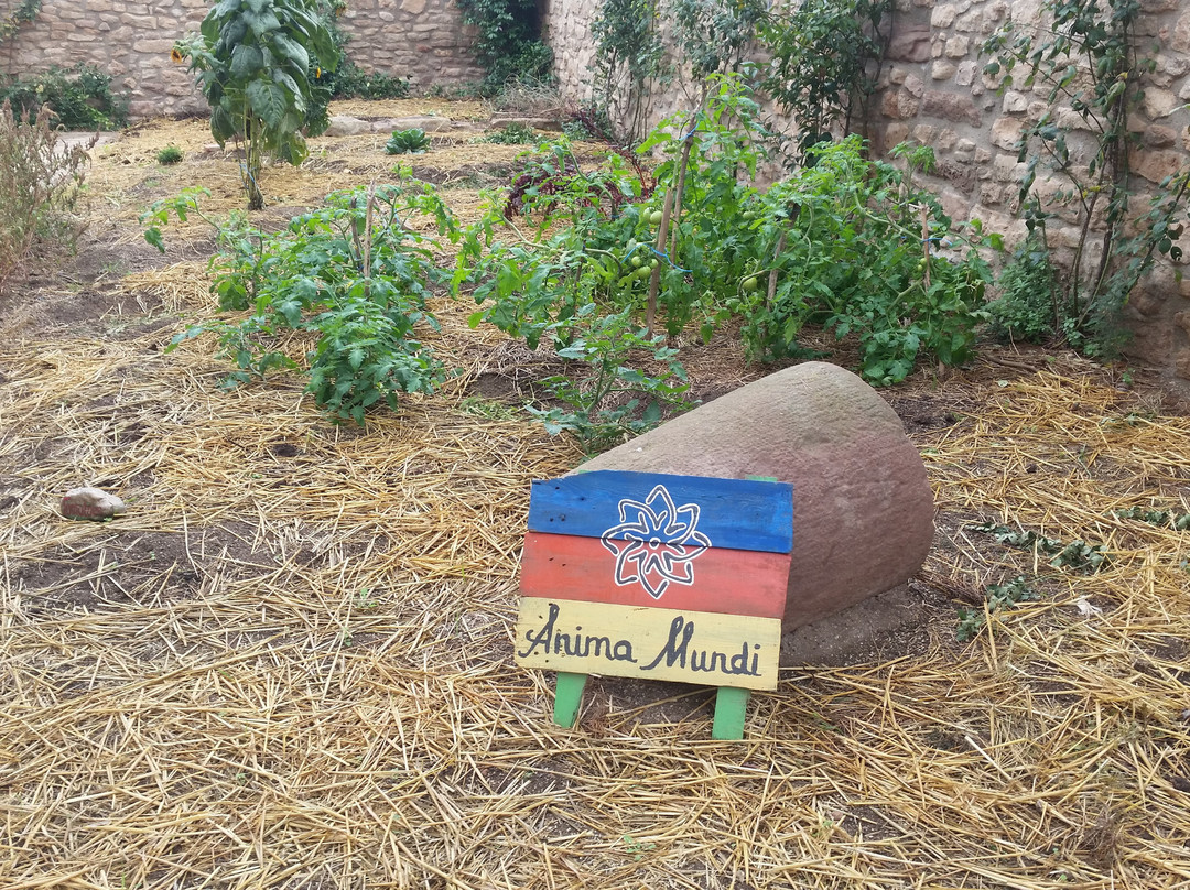 Anima Mundi Retreat Center