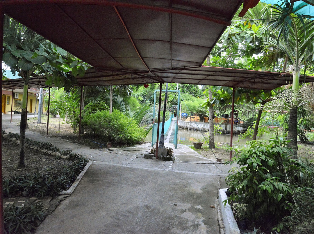 Mazaua Island Resort