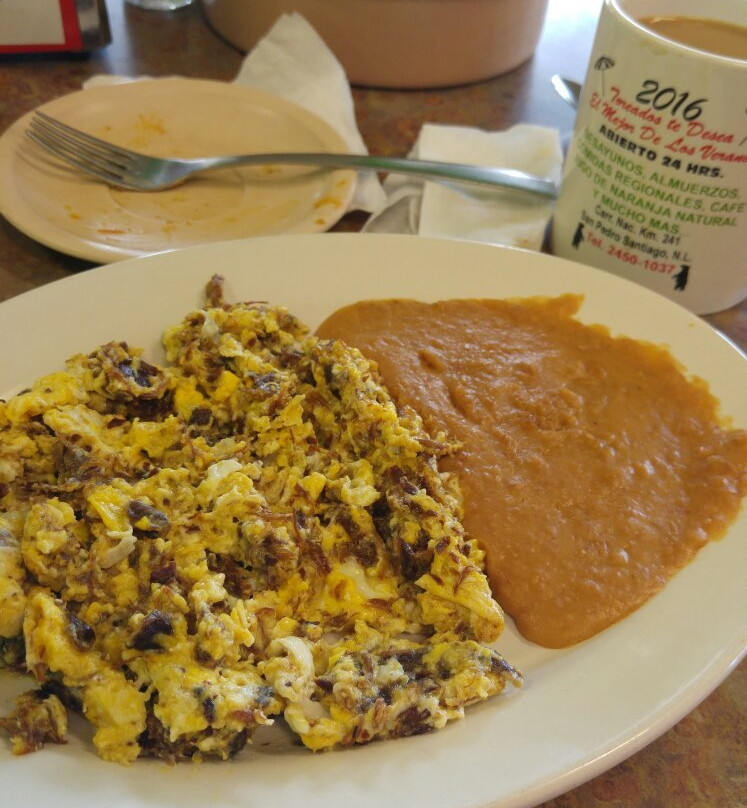 Los Toreados del Alamo