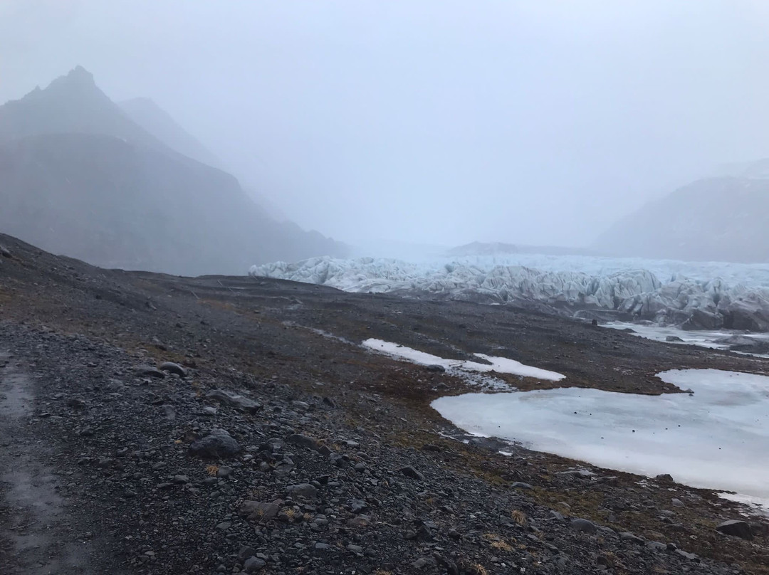 Svinafell Glacier景点图片