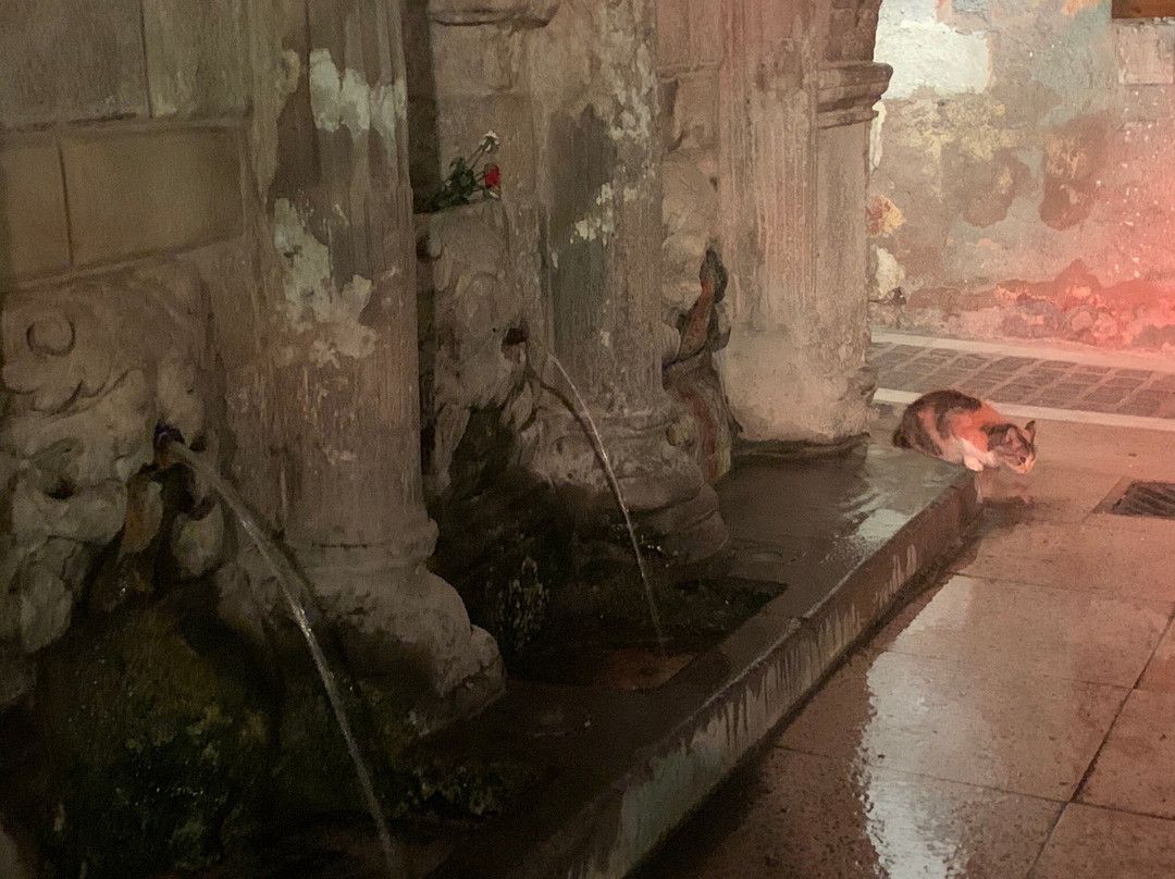 Rimondi Fountain-雷斯蒙必去景点